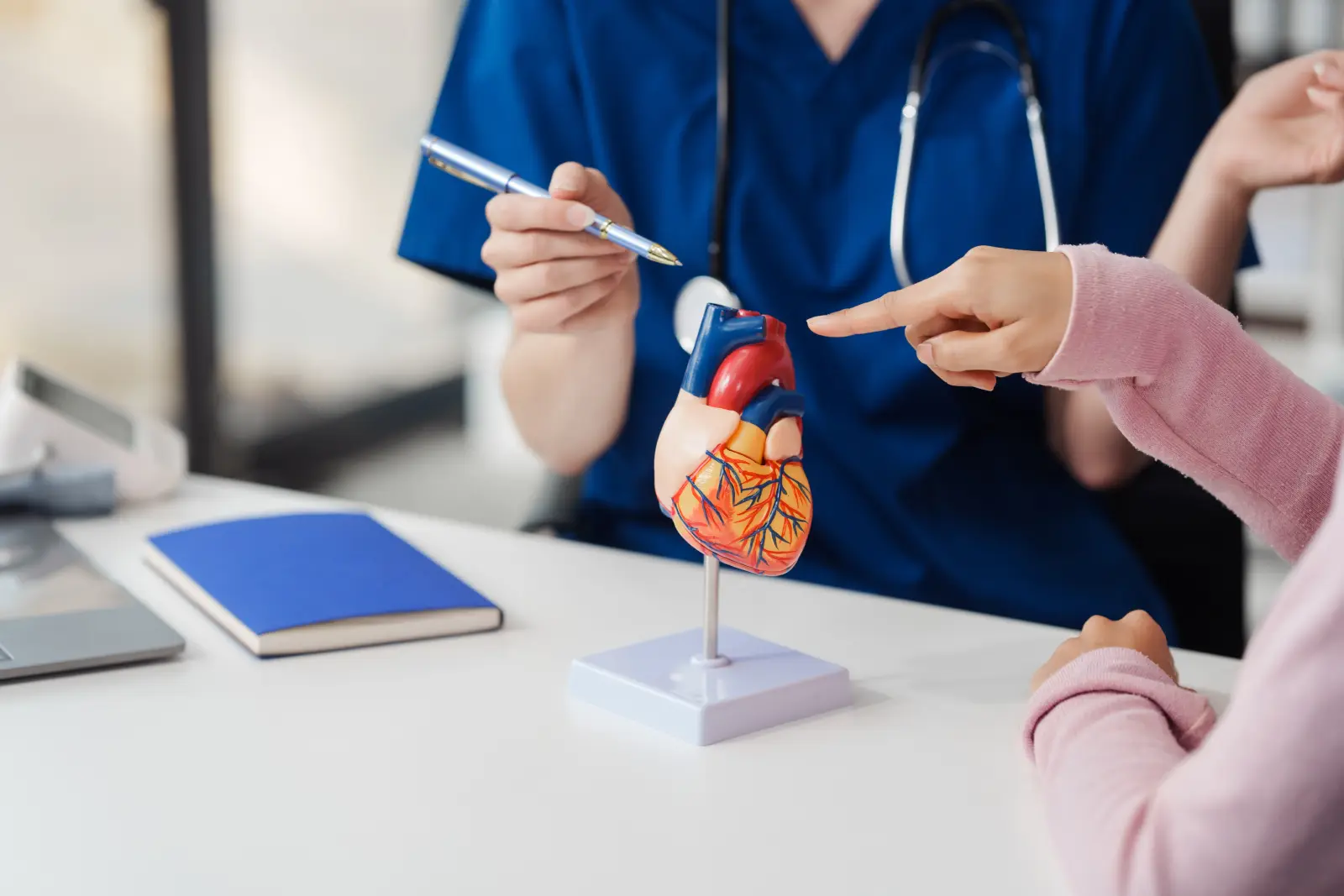A clinician in blue scrubs points a pen at an anatomical heart model while a patient points to it from across the desk.